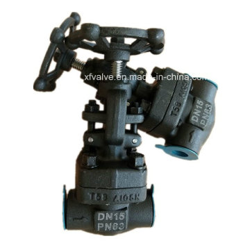 DIN Forged Carbon Steel A105 Thread End NPT Globe Valve